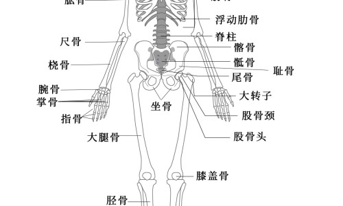 高压锅炖出来的东西有营养吗-高压锅炖乌鸡营养网—知名的高压锅炖乌鸡营养会流失吗网站,分享高压锅炖乌鸡营养会流失吗?和砂锅炖比起来哪个更好?知识