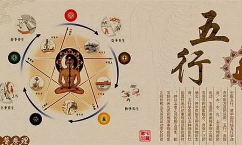 高压锅炖乌鸡适合什么-高压锅炖乌鸡营养网—知名的高压锅炖乌鸡营养会流失吗网站,分享高压锅炖乌鸡营养会流失吗?和砂锅炖比起来哪个更好?知识